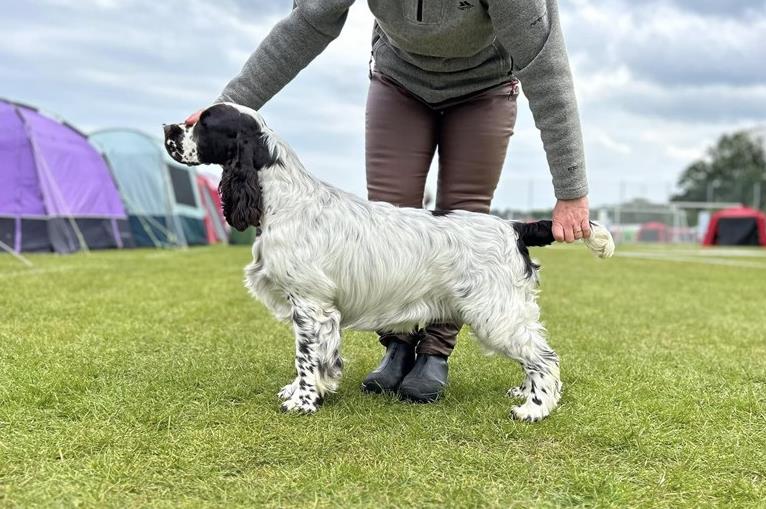 Lordsett Are You Kidding
"Mighty"