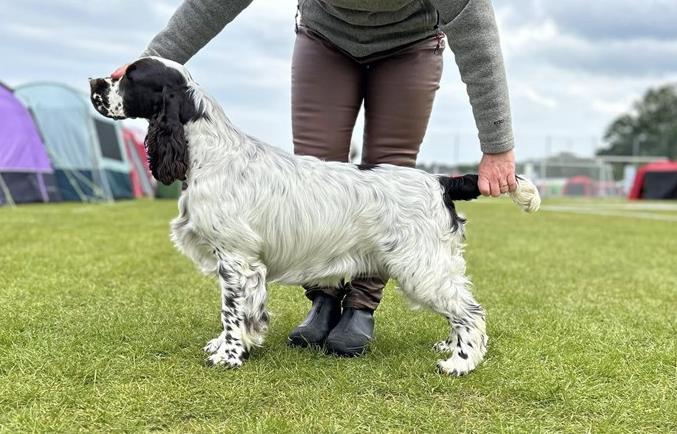 Lordsett Are You Kidding
"Mighty"