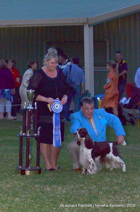 Judging in Australia, summer 2012